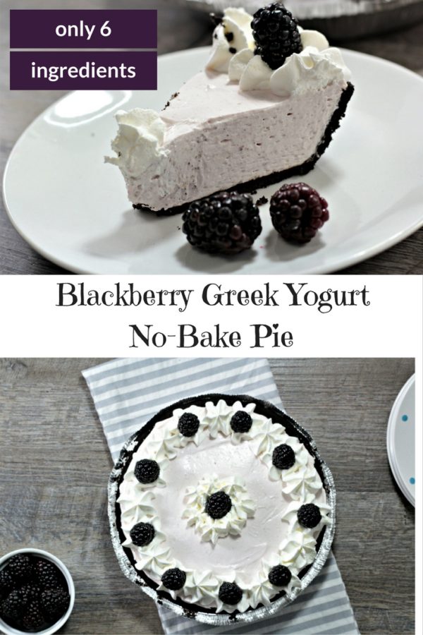 Blackberry Yogurt No Bake Pie Mindy S Cooking Obsession