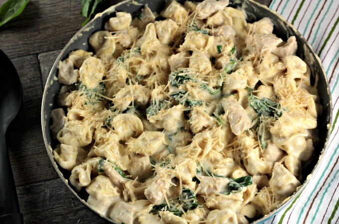 Chicken Spinach Tortellini Alfredo - Mindy's Cooking Obsession