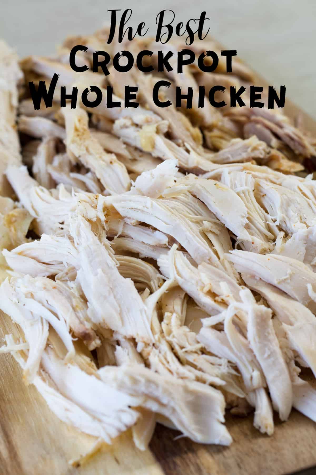 Slow Cooker Whole Chicken with Mayo - The Magical Slow Cooker