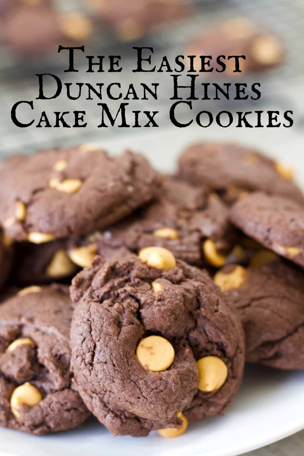 Duncan Hines Perfectly Moist Dark Chocolate Fudge Cake Mix - Shop Baking  Mixes at H-E-B