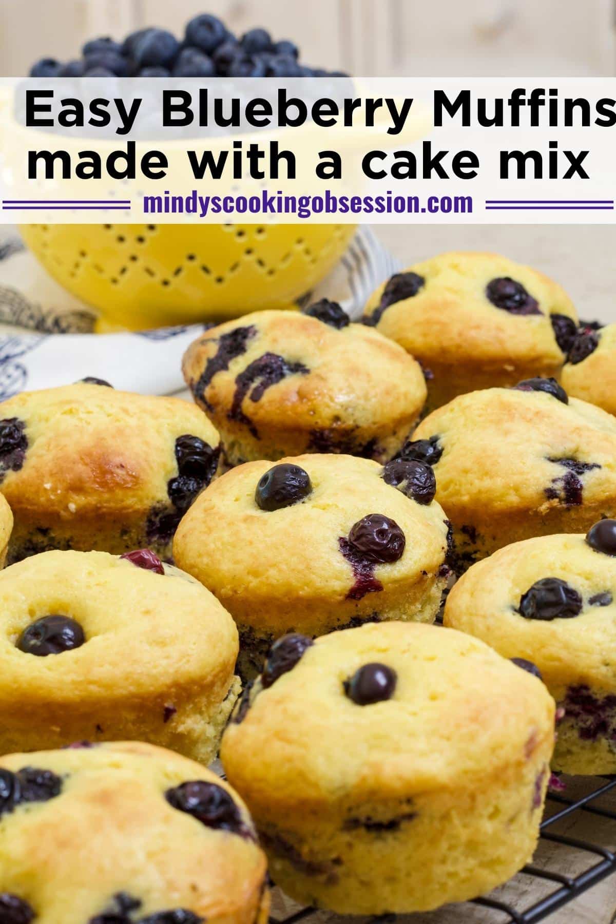 Blueberry Muffin Cake | This Mama Cooks! On a Diet