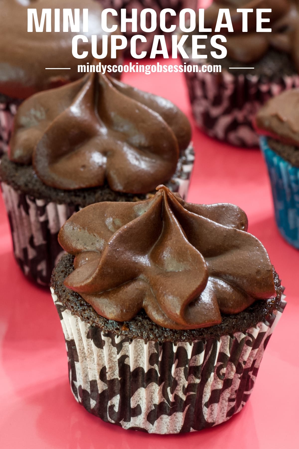 https://www.mindyscookingobsession.com/wp-content/uploads/2023/07/The-Best-Mini-Chocolate-Cupcakes-Recipe-very-moist-1.jpg