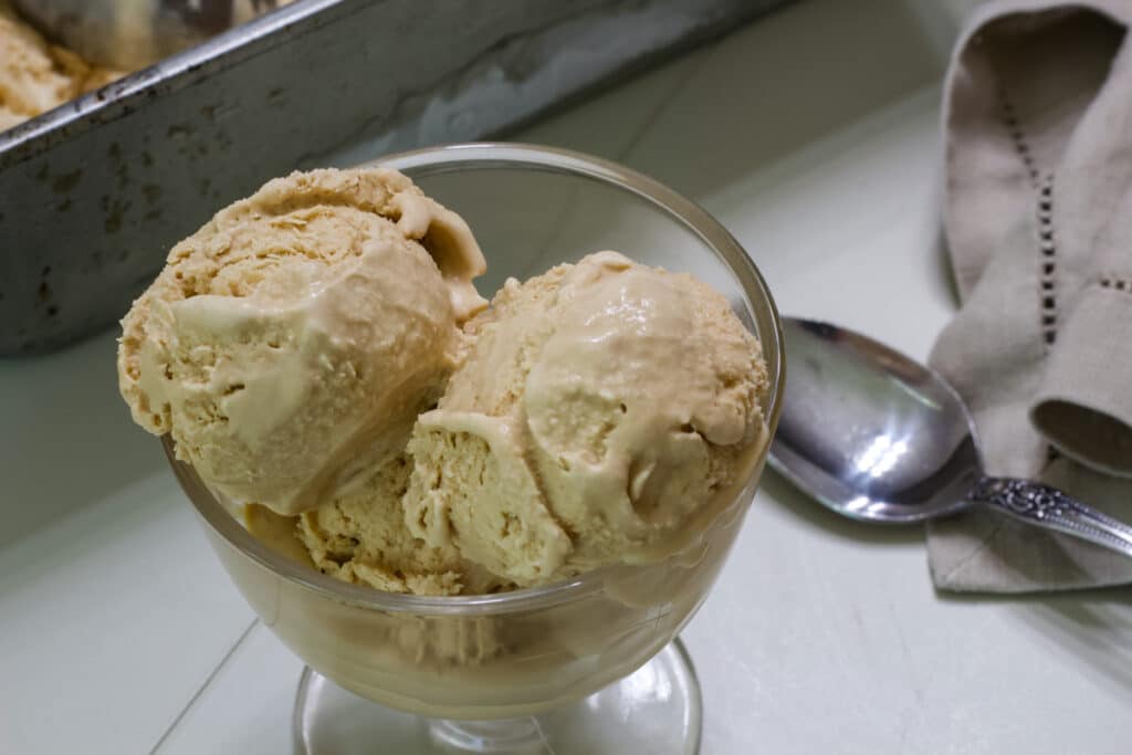 A small glass bowl with a couple of scoops of homemade coffee ice cream in it.